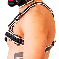 Brutus Harnais Puppy Harness  Noir-Blanc
